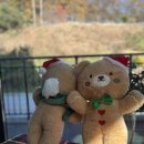 경충대로2762번길 이미지