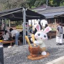 안리푸드 이미지