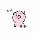 자연 in 이미지