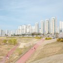 이응다리 산책로 이미지