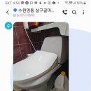 살구골서광·성지·동아·진덕 이미지