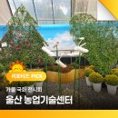 울산광역시농업기술센터 | 울산 농업기술센터 가을 국화 전시회