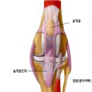 베베동물병원 이미지