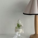 (원데이)히아시스 플라워 캔들 이미지