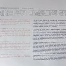 아날로그1989