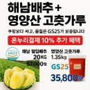 GS25 남양주신우점 | 김장준비는해남배추+경북영양산고춧가루[GS25남양주금곡]