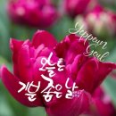 우리한우365 이미지
