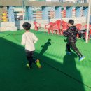 최강태권스쿨 이미지