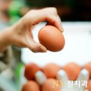 엔와이필치과 네이버블로그