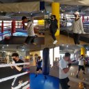 팀제이티 복싱센터 이미지