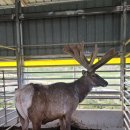 호동이농장 이미지