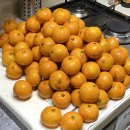 홍양농장 이미지