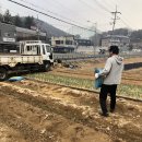 황금퇴비비료 이미지