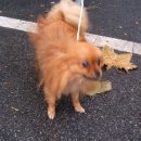 한민동물병원 이미지