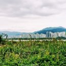 낙동강변1 이미지