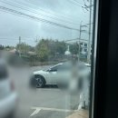 서광리-24 | 제주 갯무꽃 사람없는 곳 서광리 123 대포주상절리 서귀포 갯무꽃