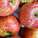 대성야채,과일 이미지