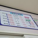 영천참붕어 이미지