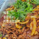 꼬꼬오리탕 | 제주오리고기 맛보고 싶으면 대포항맛집 제주착한꼬꼬오리 여기로!