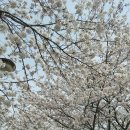 남원 광 한 루 이미지