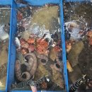 24번횟집 - 남구 장생포고래로 318 | 24번횟집