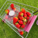 신내농장 | 1박2일 양평여행 : 양평여행아이랑 가볼만한곳 양평여행코스 추천 (맛집, 카페, 숙소, 체험학습)