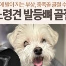애니컴 메디컬센터 이미지