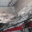 라인카센타 이미지