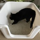 윤쌤동물병원 이미지