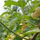 힐링카센타 이미지