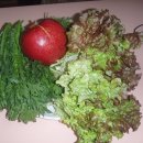 산골의하루 이미지