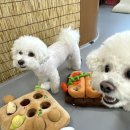 아이멍그라운드