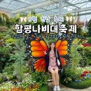 봄 전라도 전남 축제 2024 함평나비축제 (함평나비대축제) 첫날 후기! 박지현 박서진 홀리뱅 등 기본...