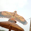 수리야 놀자 이미지