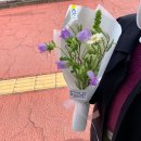플랜트휴먼 이미지
