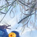 지동농장 이미지