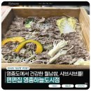 뉴호박성인나이트클럽 | [월남쌈] ‘편편집’ 영종하늘도시점 : 영종도 늦은 밤까지 무한으로 즐기는 건강한 맛의 편백찜...