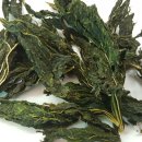 홍가네농장 이미지