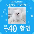 스마일퍼피 강아지분양 동탄점 | 🤍💖퍼피메이트 겨울맞이 최대 ~40%할인 이벤트 안내💖🤍퍼피메이트 안심분양센터 동탄강아지분양