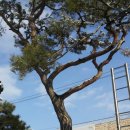 남중농장 이미지