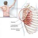 업투독 | [압구정헬스/압구정로데오헬스] 일반인이 다 알고 가기엔 너무 복잡한 해부학, 일반인도 전부 다 알아야...