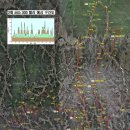 축제코스 이미지