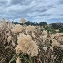 빛의벙커앞4가 2 | 제주도 섭지코지 빛의벙커 중년 부부여행 후기~!!