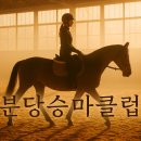 분당승마클럽 | 🐴 분당승마클럽 아이부터 엄마까지 즐기는 힐링 클래스