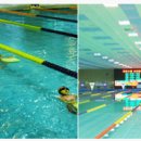 단양군청소년수련관 수영장 이미지