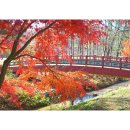 (주)로옴코리아 - 대덕구 | (주)로옴코리아