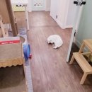 묘랑 고양이 전문호텔 이미지