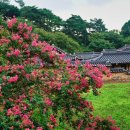 서산 팔봉산 목장 이미지