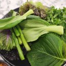 김앨빈 유외과의원 이미지