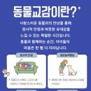 아망도그플레이스 이미지